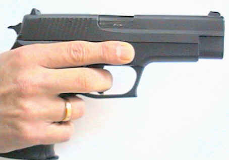 P220.jpg (11006 octets)