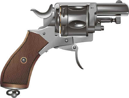 Revol01.jpg (106486 octets)